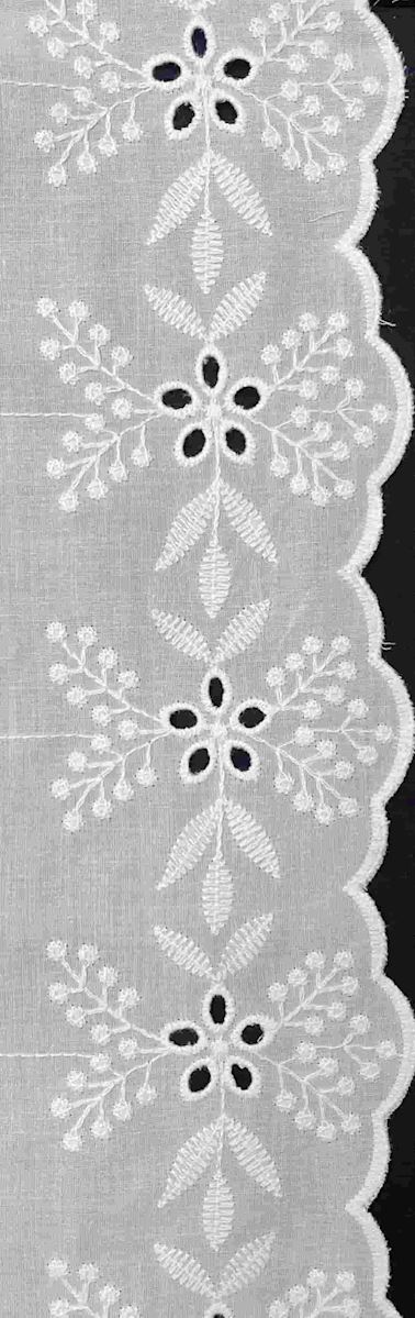 12B1919